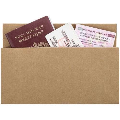 Органайзер для путешествий ticketJacket, песочный Органайзер для путешествий ticketJacket, песочный