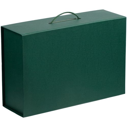Коробка Big Case, зеленая Коробка Big Case, зеленая
