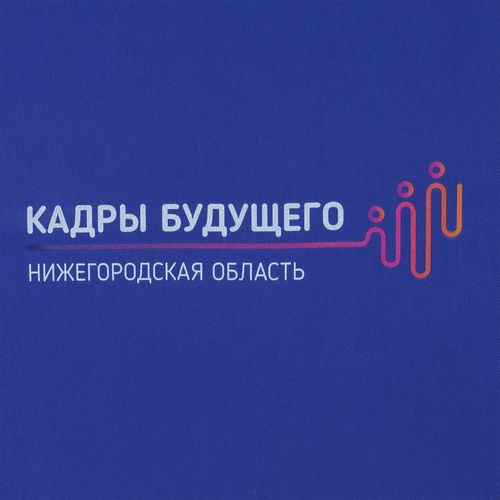 Холщовая сумка Avoska, ярко-синяя
