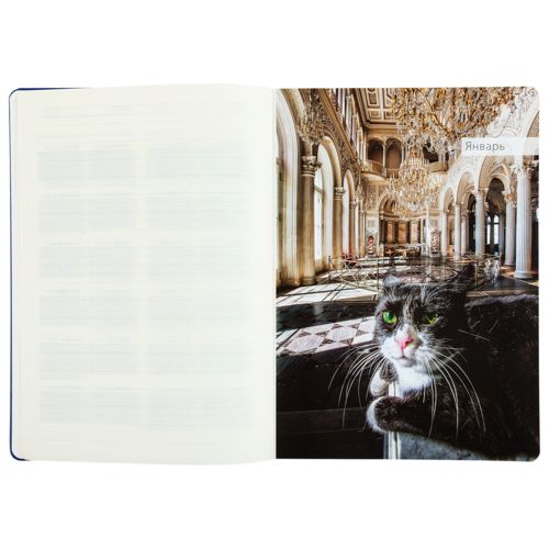 Ежедневник «Эрмитажные коты», синий, уценка Ежедневник «Эрмитажные коты», синий, уценка
