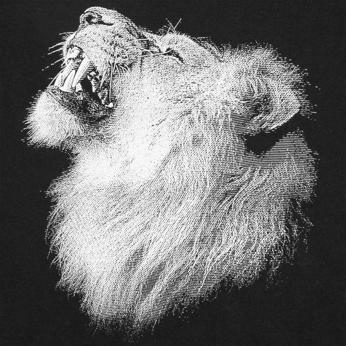 Свитшот детский Like a Lion, черный Свитшот детский Like a Lion, черный