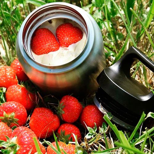Термос для еды Hot & Cold Food Jar 300, стальной Термос для еды Hot & Cold Food Jar 300, стальной
