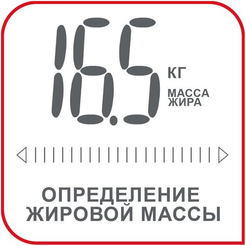 Напольные весы Bodymaster, серебристые Напольные весы Bodymaster, серебристые