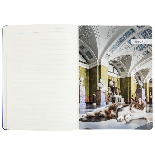 Ежедневник «Эрмитажные коты», синий, уценка Ежедневник «Эрмитажные коты», синий, уценка
