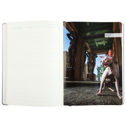 Ежедневник «Эрмитажные коты», синий, уценка Ежедневник «Эрмитажные коты», синий, уценка