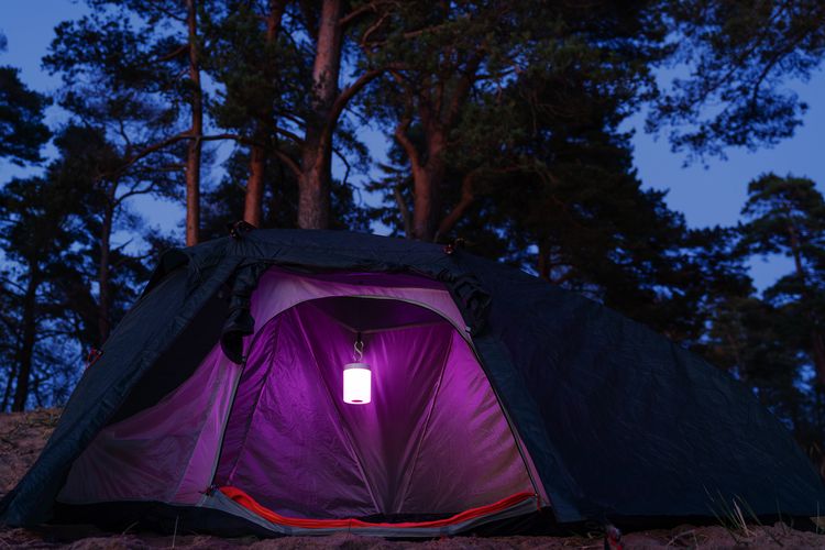Лампа с управлением прикосновениями TouchLight Лампа с управлением прикосновениями TouchLight