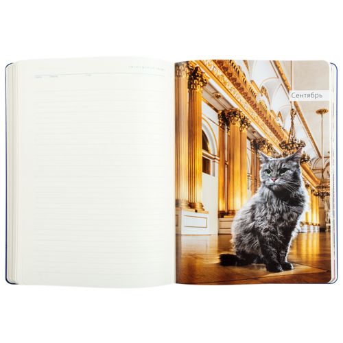 Ежедневник «Эрмитажные коты», синий, уценка Ежедневник «Эрмитажные коты», синий, уценка