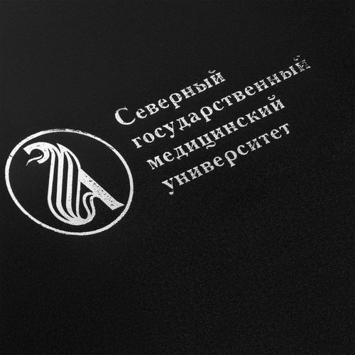 Папка с прижимом Expert, черная