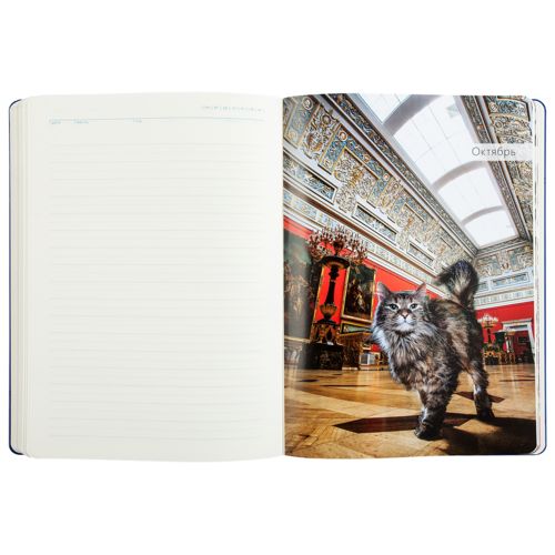 Ежедневник «Эрмитажные коты», синий, уценка Ежедневник «Эрмитажные коты», синий, уценка