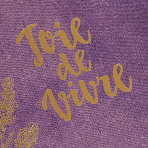 Книга «Joie de vivre. Секреты счастья по-французски» Книга «Joie de vivre. Секреты счастья по-французски»