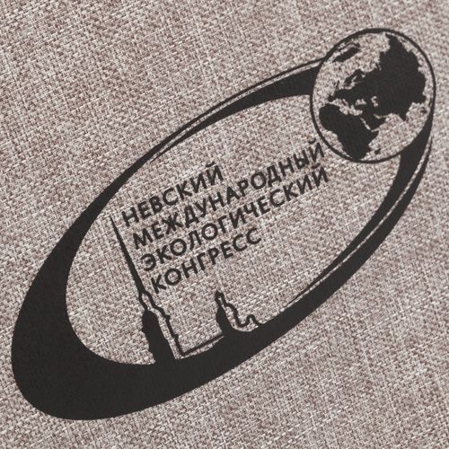 Сумка для ноутбука «Барбадос»