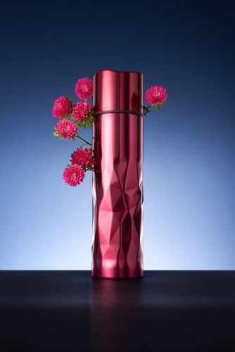 Термос Gems Red Rubine, красный рубин Термос Gems Red Rubine, красный рубин