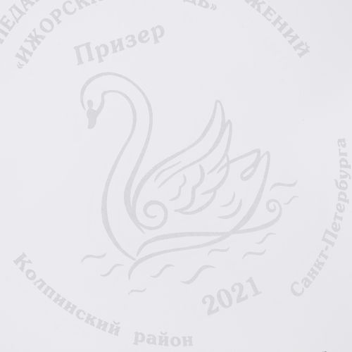 Награда «Точка опоры»