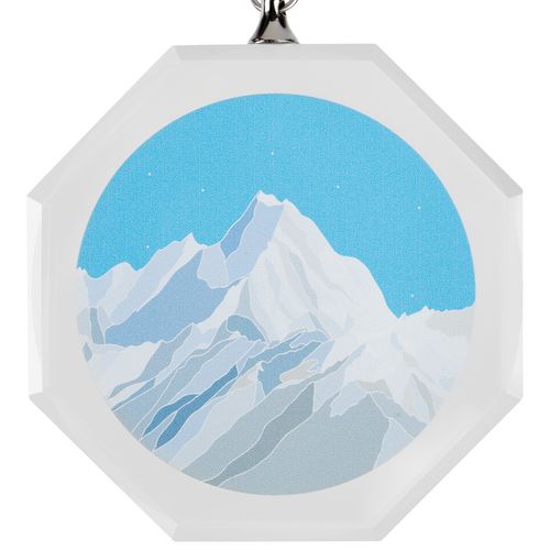 Медаль Summit