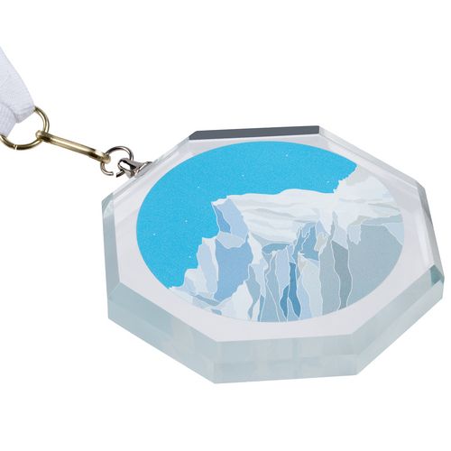 Медаль Summit