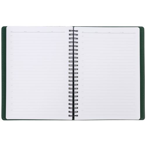 Ежедневник Spring Shall, недатированный, зеленый Ежедневник Spring Shall, недатированный, зеленый