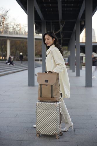 Чемодан Aluminum Frame PC Luggage V1, золотистый Чемодан Aluminum Frame PC Luggage V1, золотистый