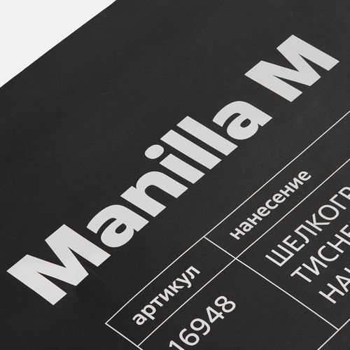 Пакет бумажный Manilla L, черный
