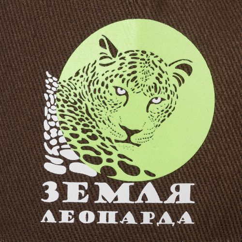 Бейсболка Long Beach, коричневая с бежевым