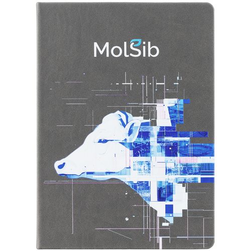 Ежедневник Basis, датированный, темно-серый