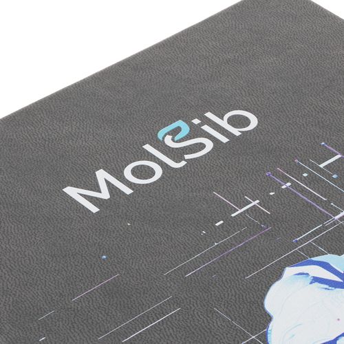 Ежедневник Basis, датированный, темно-серый