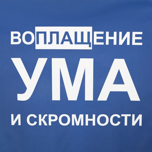 Дождевик унисекс Rainman Strong, ярко-синий