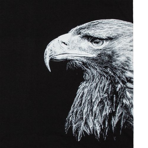 Футболка Like an Eagle, черная Футболка Like an Eagle, черная