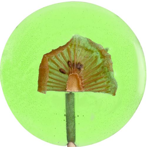 Леденец Lollifruit, зеленый с киви Леденец Lollifruit, зеленый с киви