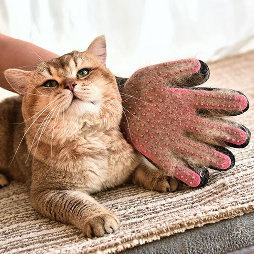 Перчатка для груминга Fur Перчатка для груминга Fur