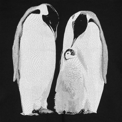 Свитшот детский Like a Penguin, черный Свитшот детский Like a Penguin, черный
