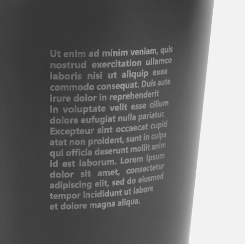 Термостакан с двумя поильниками Duetta, серый