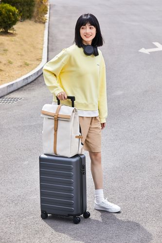 Чемодан Rhine Luggage, темно-серый Чемодан Rhine Luggage, темно-серый