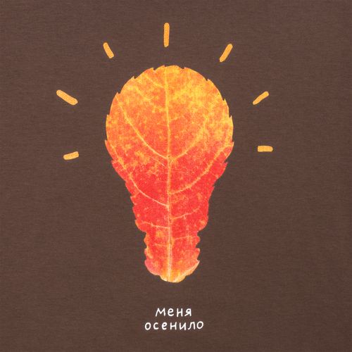 Футболка «Осенило», шоколадно-коричневая Футболка «Осенило», шоколадно-коричневая