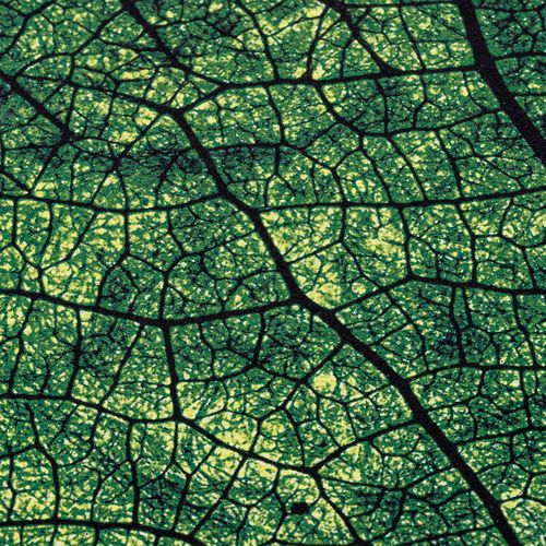 Ежедневник Evergreen, недатированный Ежедневник Evergreen, недатированный