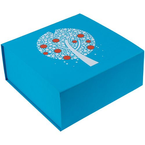 Коробка Amaze, голубая