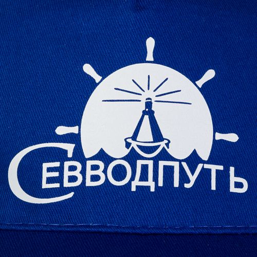 Бейсболка Buzz, ярко-синяя