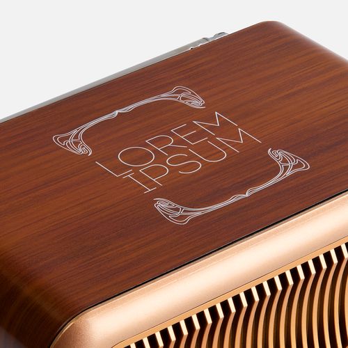 Bluetooth-колонка с радио Beatnik, коричневая