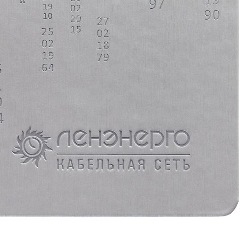 Ежедневник «Исторический», полудатированный, серебро