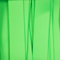 Стропа текстильная Fune 25 L, зеленый неон, 110 см