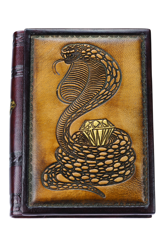 Книга для записей «Змея» с линованными листами