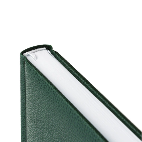 Ежедневник Sagrin, недатированный, зеленый Ежедневник Sagrin, недатированный, зеленый