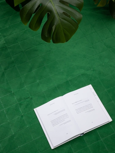 Плед для пикника Soft & Dry 2, зеленый Плед для пикника Soft & Dry 2, зеленый