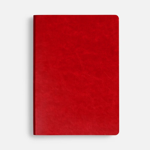 Ежедневник Nebraska Flex, недатированный, красный с золотистым Ежедневник Nebraska Flex, недатированный, красный с золотистым