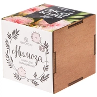 Набор для выращивания «Экокуб Lite»