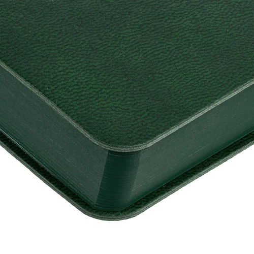 Ежедневник Flexpen Color, датированный, зеленый Ежедневник Flexpen Color, датированный, зеленый