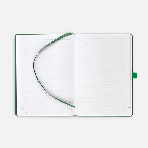 Ежедневник Favor Gold, недатированный, ярко-зеленый Ежедневник Favor Gold, недатированный, ярко-зеленый