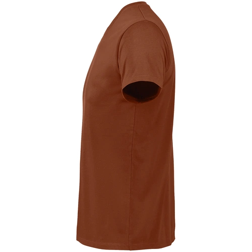 Футболка мужская Regent Fit 150, коричневая (терракотовая) Футболка мужская Regent Fit 150, коричневая (терракотовая)