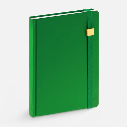 Ежедневник Favor Gold, недатированный, ярко-зеленый Ежедневник Favor Gold, недатированный, ярко-зеленый