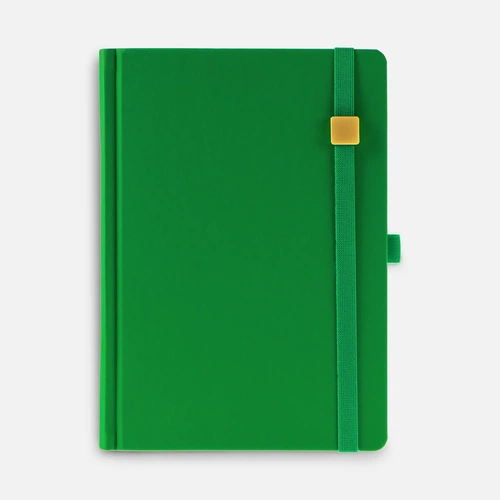 Ежедневник Favor Gold, недатированный, ярко-зеленый Ежедневник Favor Gold, недатированный, ярко-зеленый