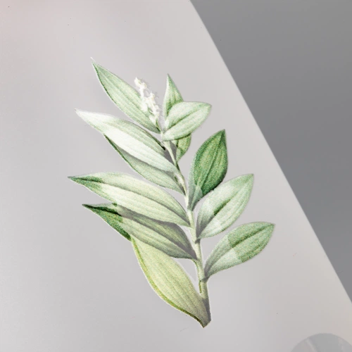 Бутылка для воды Nube, матовая с круговой шелкографией и UV-DTF-печатью Бутылка для воды Nube, матовая с круговой шелкографией и UV-DTF-печатью